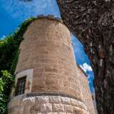 ...con una massiccia torre angolare che affianca l'entrata e si lascia coprire da una rigogliosa vegetazione
